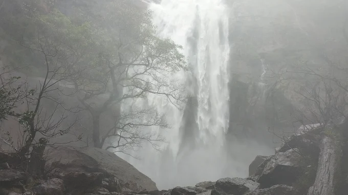 Agaya Gangai waterfall dropping 300 feet through forest