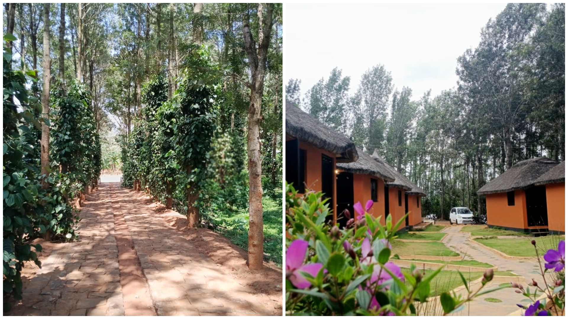 Landscaped gardens and cottages at RK Garden and Resort