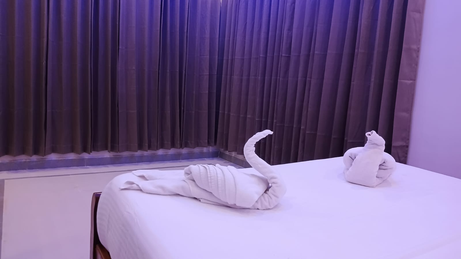 Spacious suite room with comfortable interiors